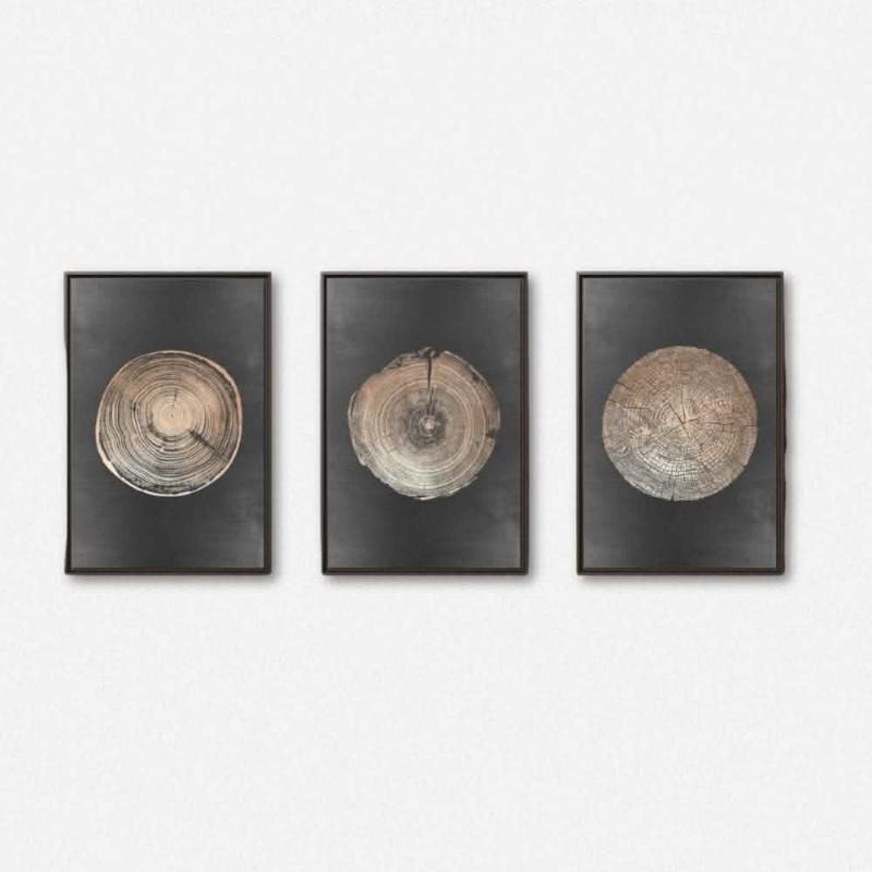 Nature - Inspired Tree Ring Wall Art Set